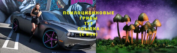ALPHA-PVP Новозыбков