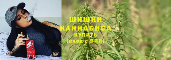 дживик Абаза