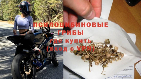 дживик Абаза