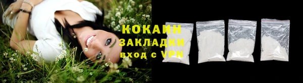 индика Абинск