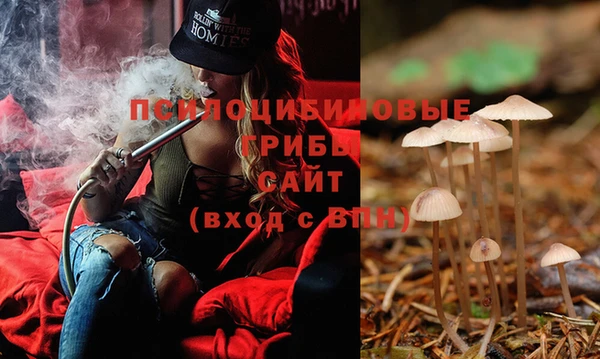 индика Абинск