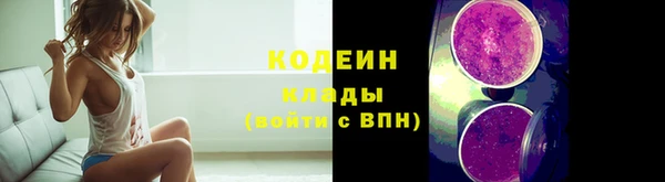 дживик Абаза