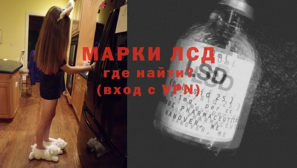 ешки Новодвинск