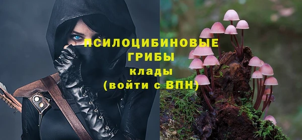 индика Абинск