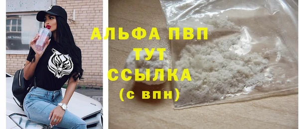 индика Абинск