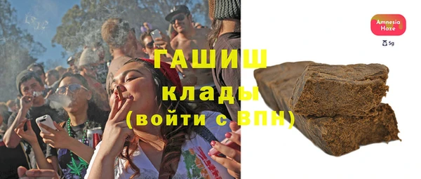 индика Абинск