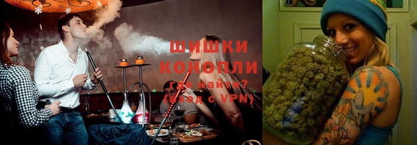 индика Абинск