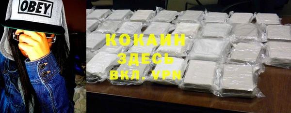 индика Абинск