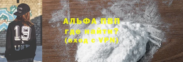 индика Абинск